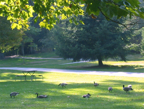 Stanley Park