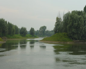 Po river - Emilia Romagna Region, Italy